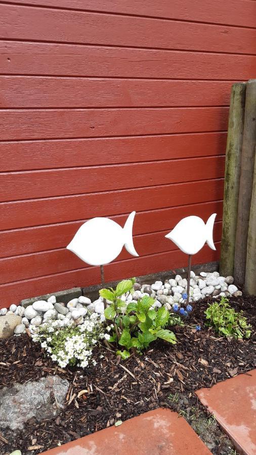 Haus Strandflieder Greetsiel Exteriör bild